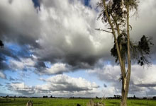 28圈：《阿斯報》：C羅即將完成1200場職業比賽紀錄.