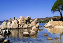 富安健洋迎歐冠首秀：實現了一大夢想 在歐冠場上保持平常心.